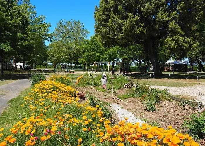 Le Sorlut Camping Cozes